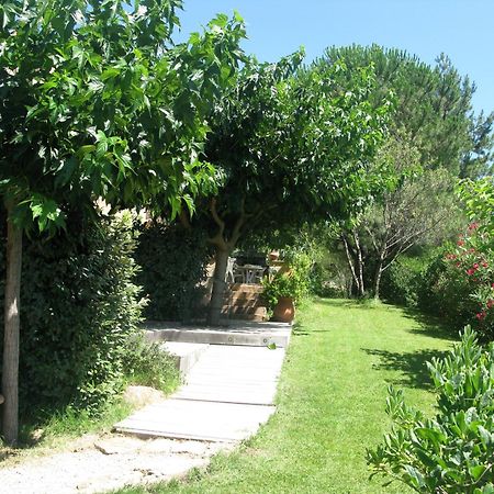 L'Oustaou B&B Piscine & Spa Besse-sur-Issole Ngoại thất bức ảnh