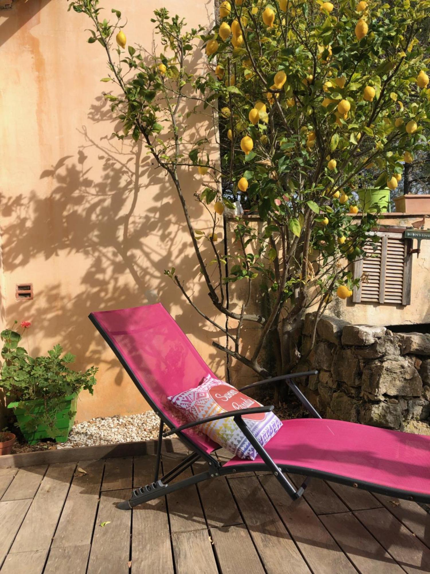 L'Oustaou B&B Piscine & Spa Besse-sur-Issole Ngoại thất bức ảnh